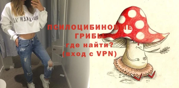 ПСИЛОЦИБИНОВЫЕ ГРИБЫ Арсеньев