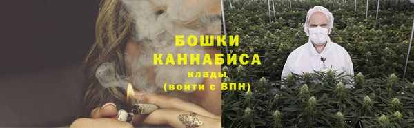 ПСИЛОЦИБИНОВЫЕ ГРИБЫ Арсеньев