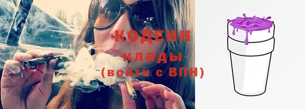 ПСИЛОЦИБИНОВЫЕ ГРИБЫ Арсеньев