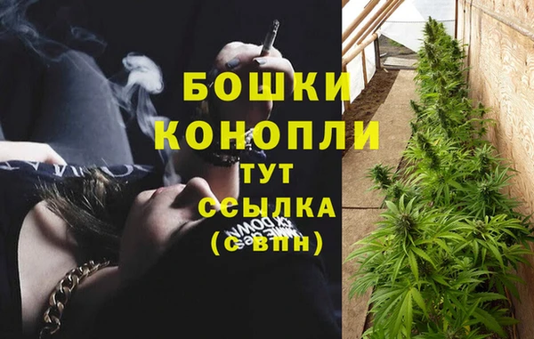 ПСИЛОЦИБИНОВЫЕ ГРИБЫ Арсеньев